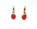 Aretes FRESA